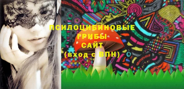 PSILOCYBIN Пестово