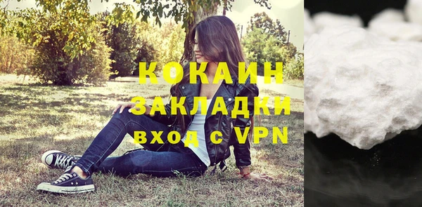шишки Осинники