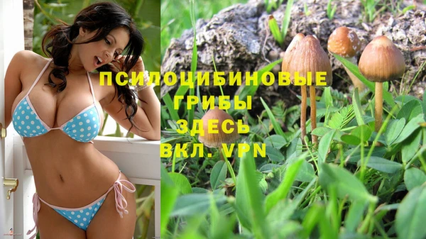 PSILOCYBIN Пестово