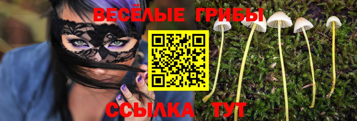 Псилоцибиновые грибы Psilocybe Среднеуральск
