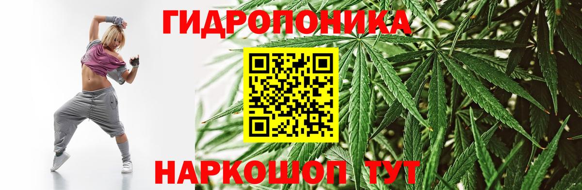 Шишки марихуана сатива Среднеуральск